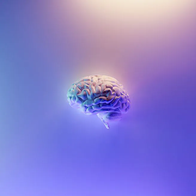 🧠 Resources for Learning about GenAI & LLM