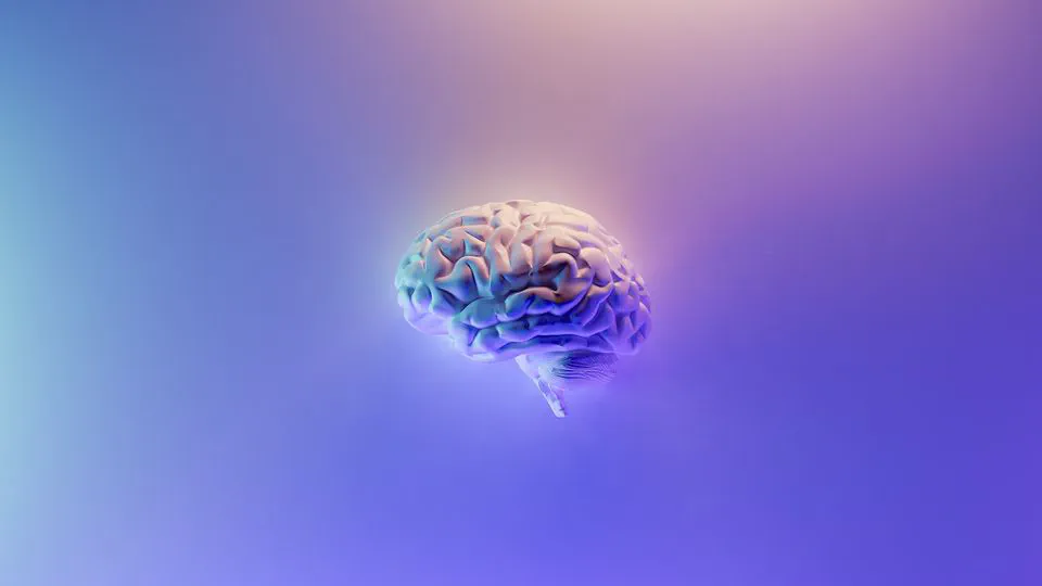 🧠 Resources for Learning about GenAI & LLM